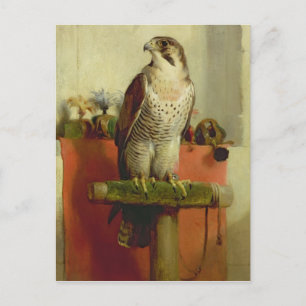 Falcon, 1837 postcard