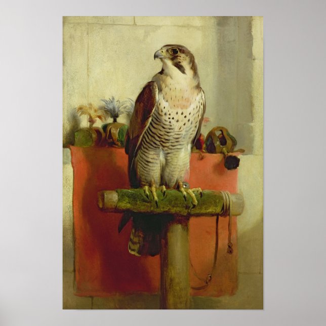 Falcon, 1837 poster (Front)