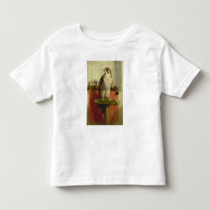 Falcon, 1837 toddler T-Shirt