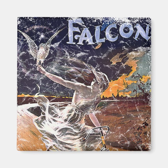 Falcon Bicycle - distressed Magnet (Front)