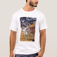 Falcon Bicycle - distressed