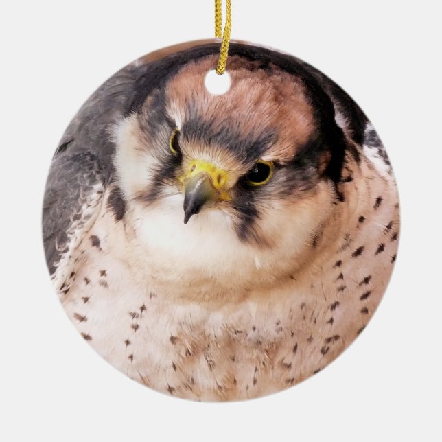 FALCON BIRD OF PREY CERAMIC ORNAMENT (Front)