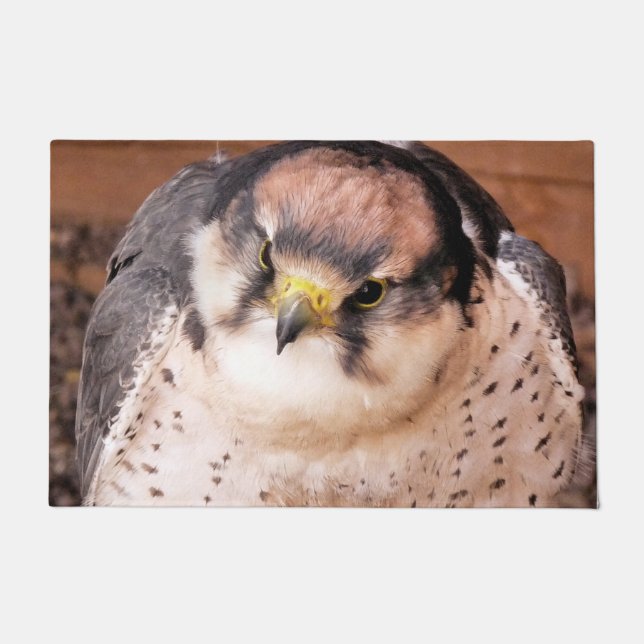 FALCON BIRD OF PREY DOORMAT (Front)