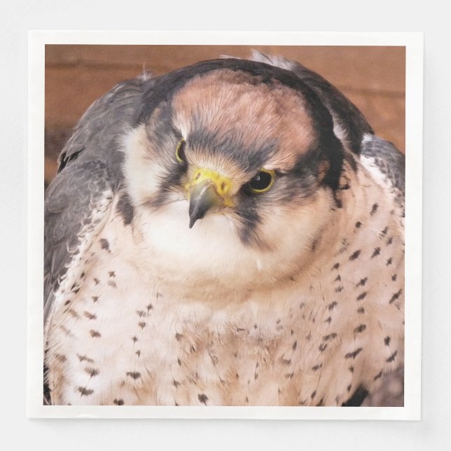 FALCON BIRD OF PREY NAPKIN (Front)