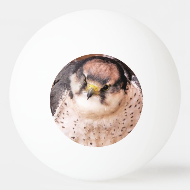 FALCON BIRD OF PREY PING PONG BALL (Front)