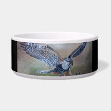 Falcon Ceramic Pet Bowl