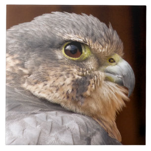 FALCON CERAMIC TILE