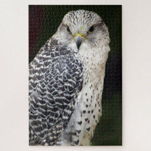 Falcon Jigsaw Puzzle