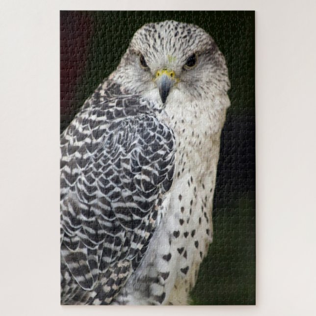 Falcon Jigsaw Puzzle (Vertical)
