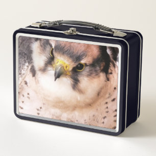 FALCON METAL LUNCH BOX