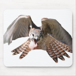 Falcon Mousepad