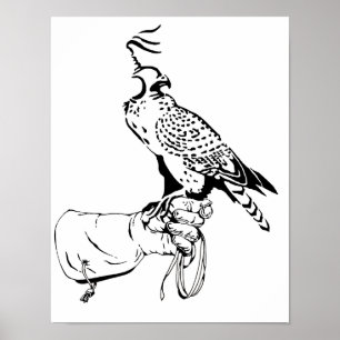Falcon on Glove Poster