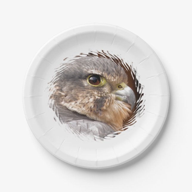 FALCON PAPER PLATE (Front)