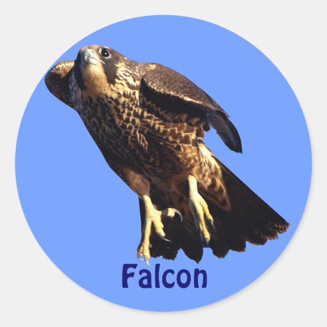 Falcon Raptor Birdlover's Wildlife Sticker (Front)