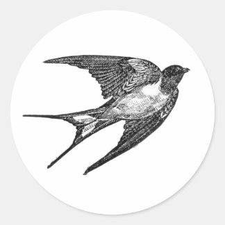 falcon sticker in white  backround