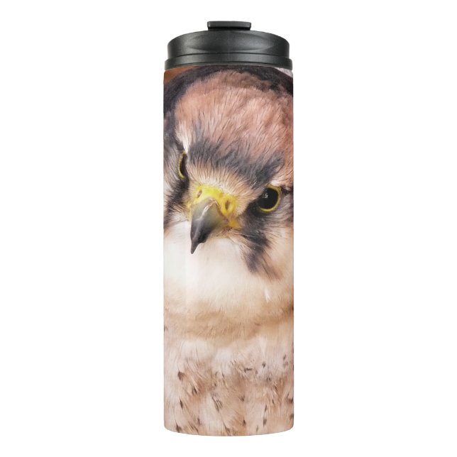 FALCON THERMAL TUMBLER (Front)