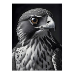 Falcon Wildlife Majestic Nature Life Wallpaper Poster