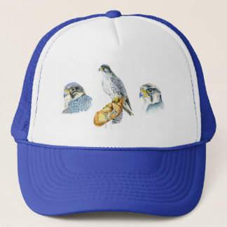 Falconry Cap