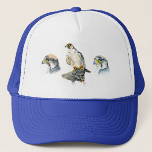 Falconry Cap