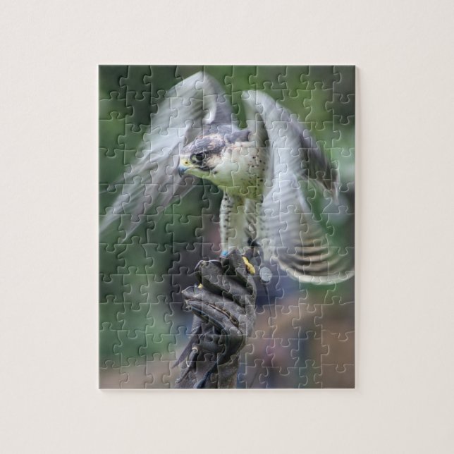 Falconry Jigsaw Puzzle (Vertical)