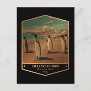 Falkland Islands Postcard
