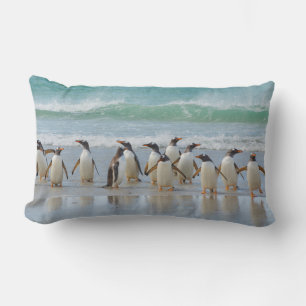 Falkland Islands. Saunders Island. Gentoo Lumbar Cushion