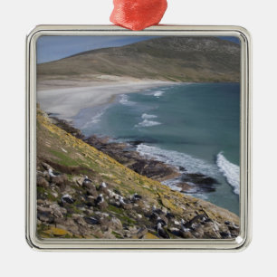 Falkland Islands, West Falkland, Saunders Metal Ornament