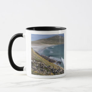 Falkland Islands, West Falkland, Saunders Mug