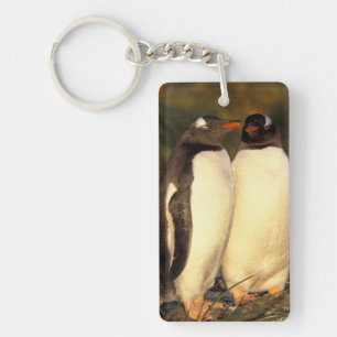 Falklands Islands. Gentoo Penguins. (Pyroscelis Key Ring
