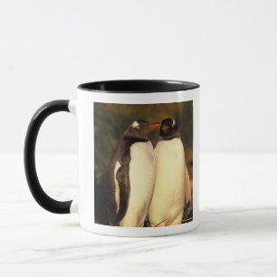 Falklands Islands. Gentoo Penguins.  (Pyroscelis Mug