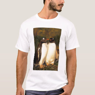 Falklands Islands. Gentoo Penguins. (Pyroscelis T-Shirt