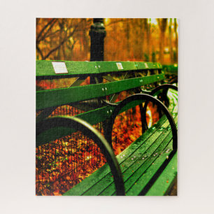 Fall- A Seat in Central Park. Jigsaw Puzzle