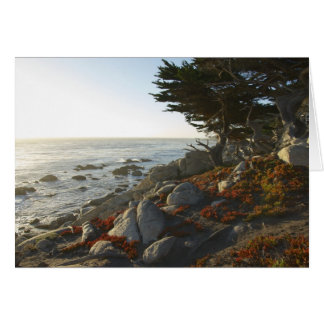 Fall Afternoon on the Pacific