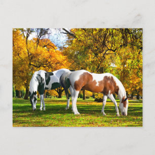 "Fall Afternoon" Postcard
