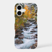 Fall along Bishop creek, California