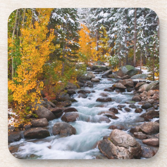Fall along Bishop creek, California Coaster (Front)