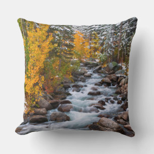 Fall along Bishop creek, California Cushion