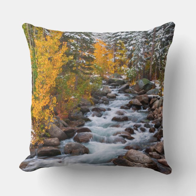 Fall along Bishop creek, California Cushion (Front)