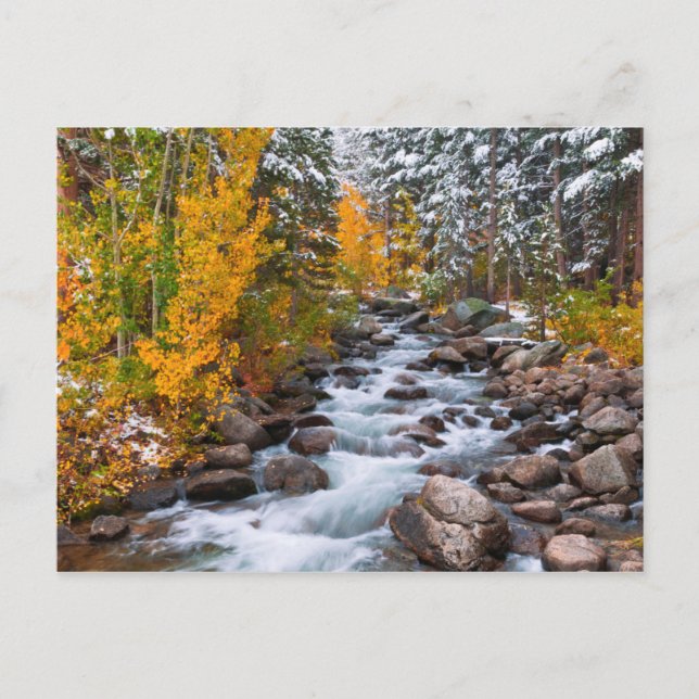 Fall along Bishop creek, California Postcard (Front)
