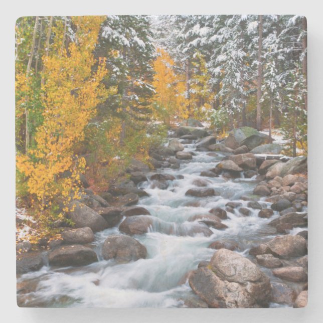 Fall along Bishop creek, California Stone Coaster (Front)