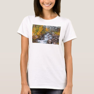 Fall along Bishop creek, California T-Shirt