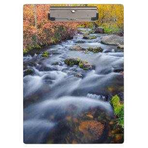 Fall along Lundy Creek, California Clipboard