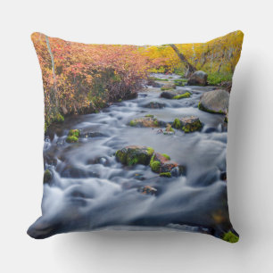 Fall along Lundy Creek, California Cushion