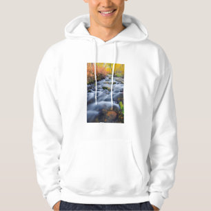 Fall along Lundy Creek, California Hoodie