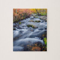 Fall along Lundy Creek, California