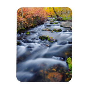Fall along Lundy Creek, California Magnet
