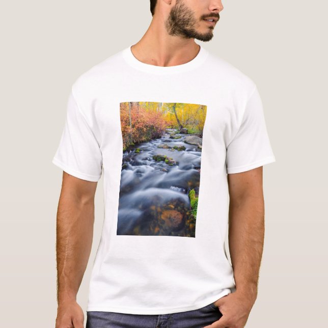 Fall along Lundy Creek, California T-Shirt (Front)