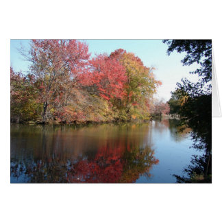 Fall Along The Creek