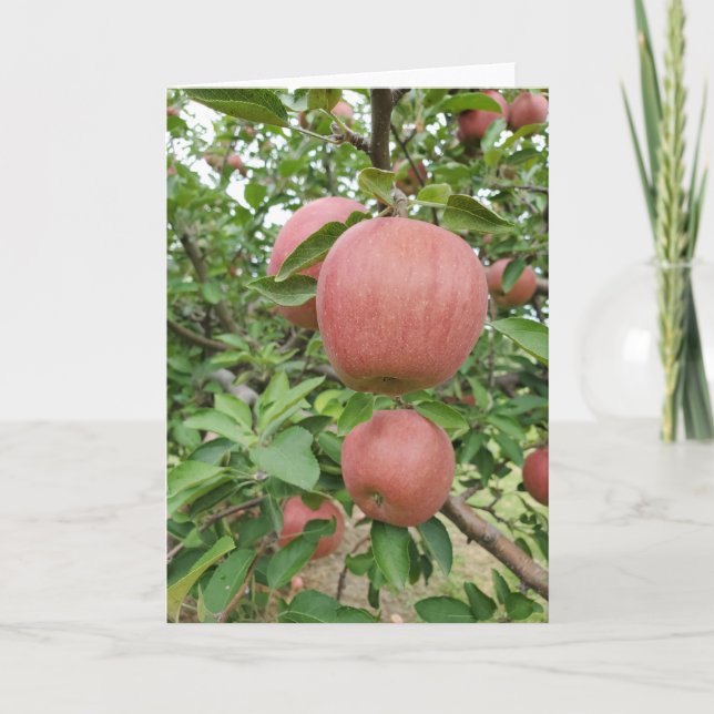 Fall Apple Orchard Card (Front)