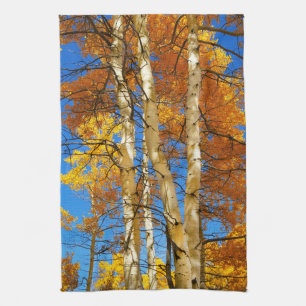 Fall Aspen Colour Nature Photograph © Sandy Long Tea Towel